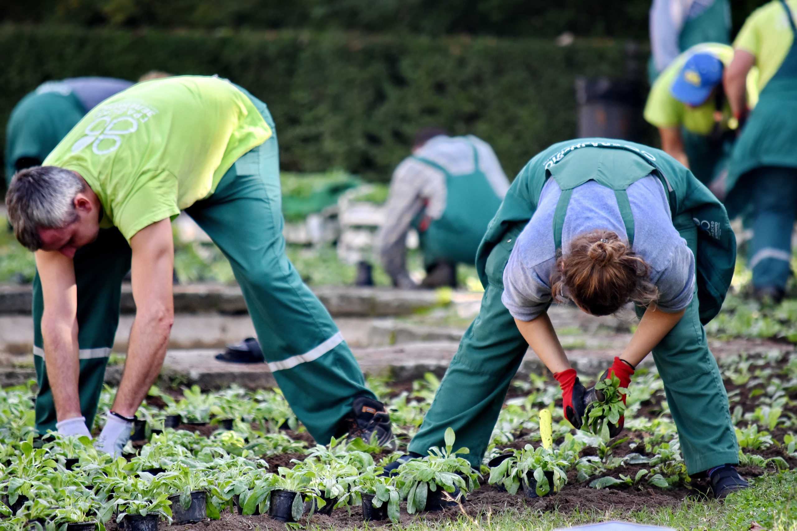 Zusatztermine für die Gemeinschaftsarbeit