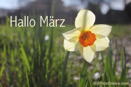 Der Garten im März
