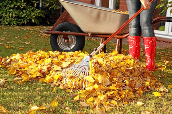 Der Garten im November 2022
